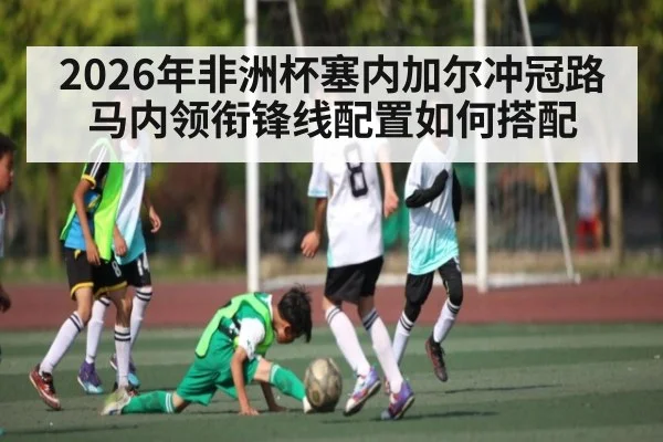 2026年非洲杯塞内加尔冲冠路 马内领衔锋线配置如何搭配